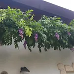 Casa Yami